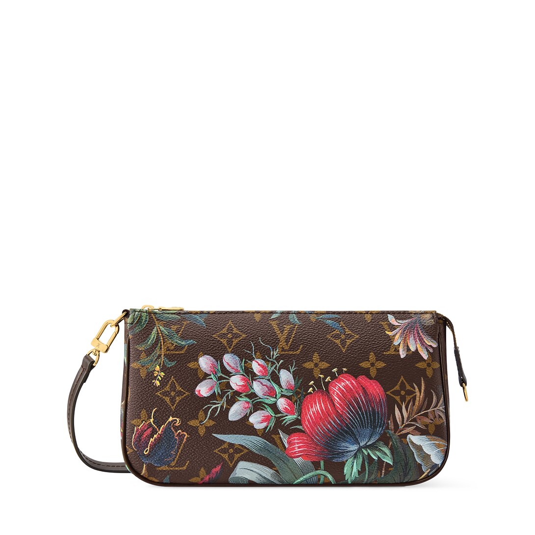 Pochette Accessoires M29148 front white background