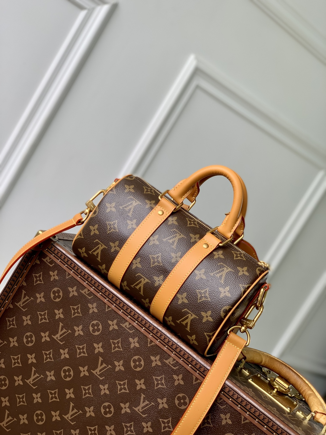 Keepall 25 Cargo M14981 front white background image 5