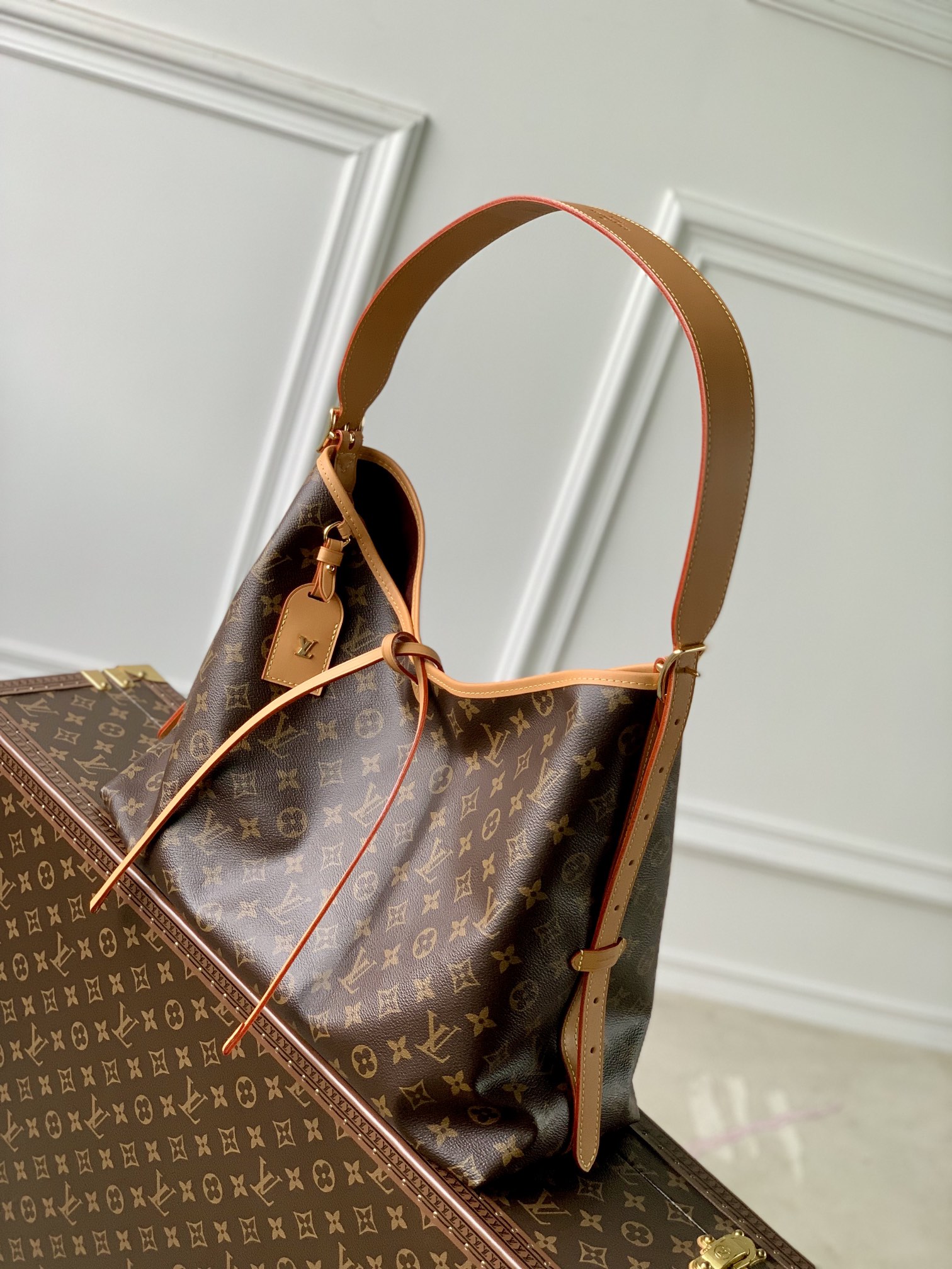 CarryAll MM M46197 main 1 image 4
