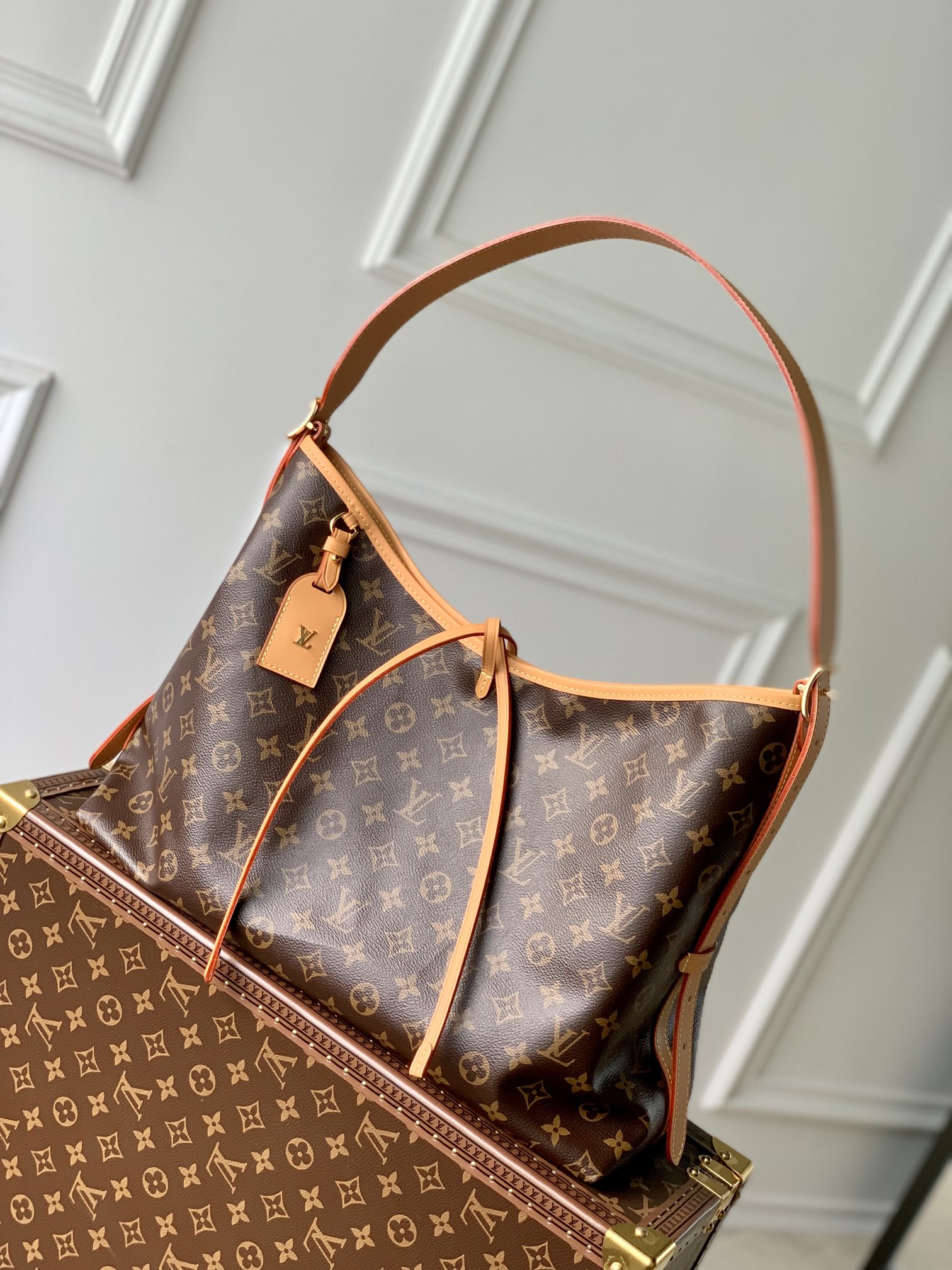 CarryAll MM M46197 main 1 image 10