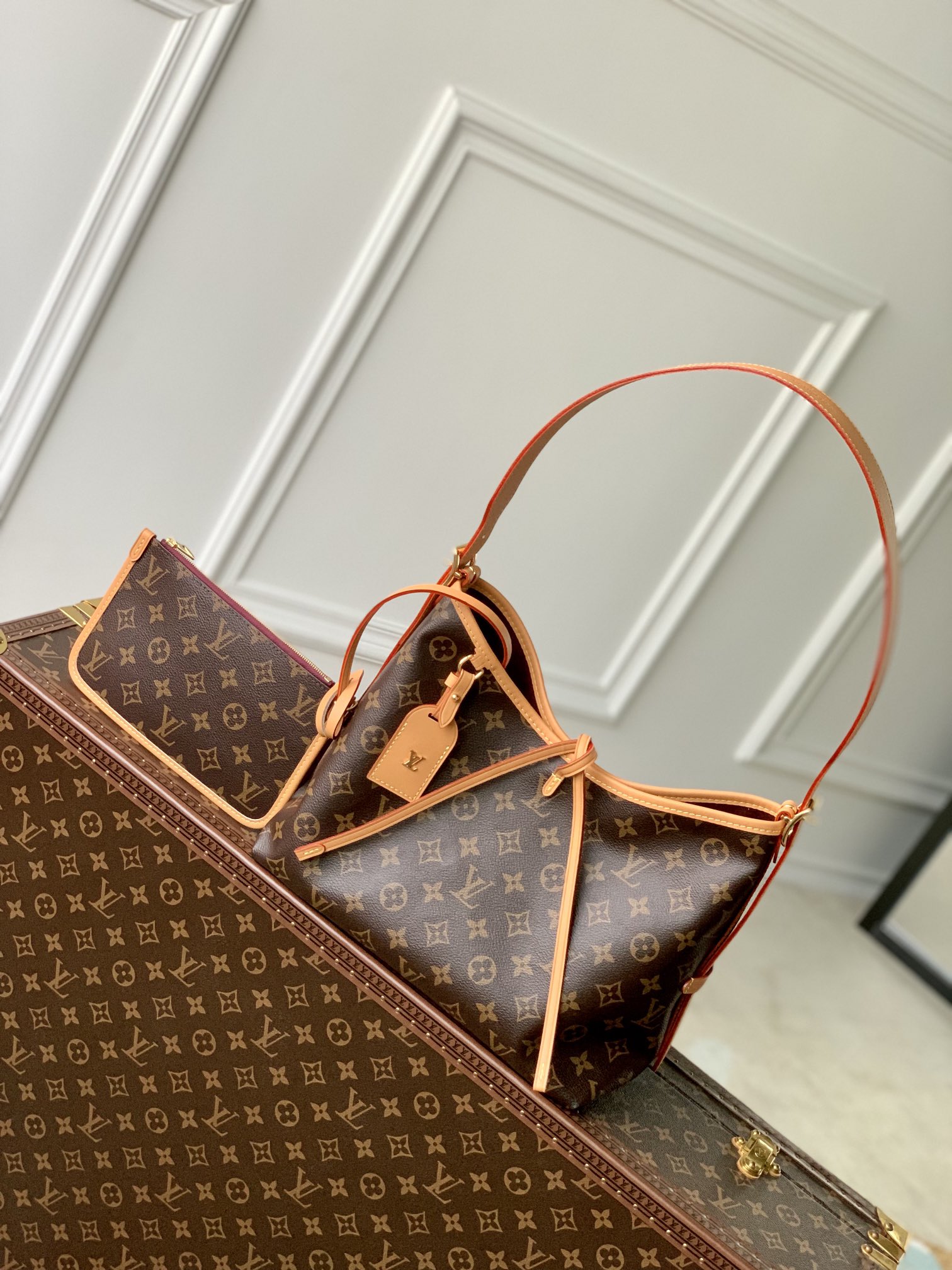 CarryAll PM M46203 main 1 image 2