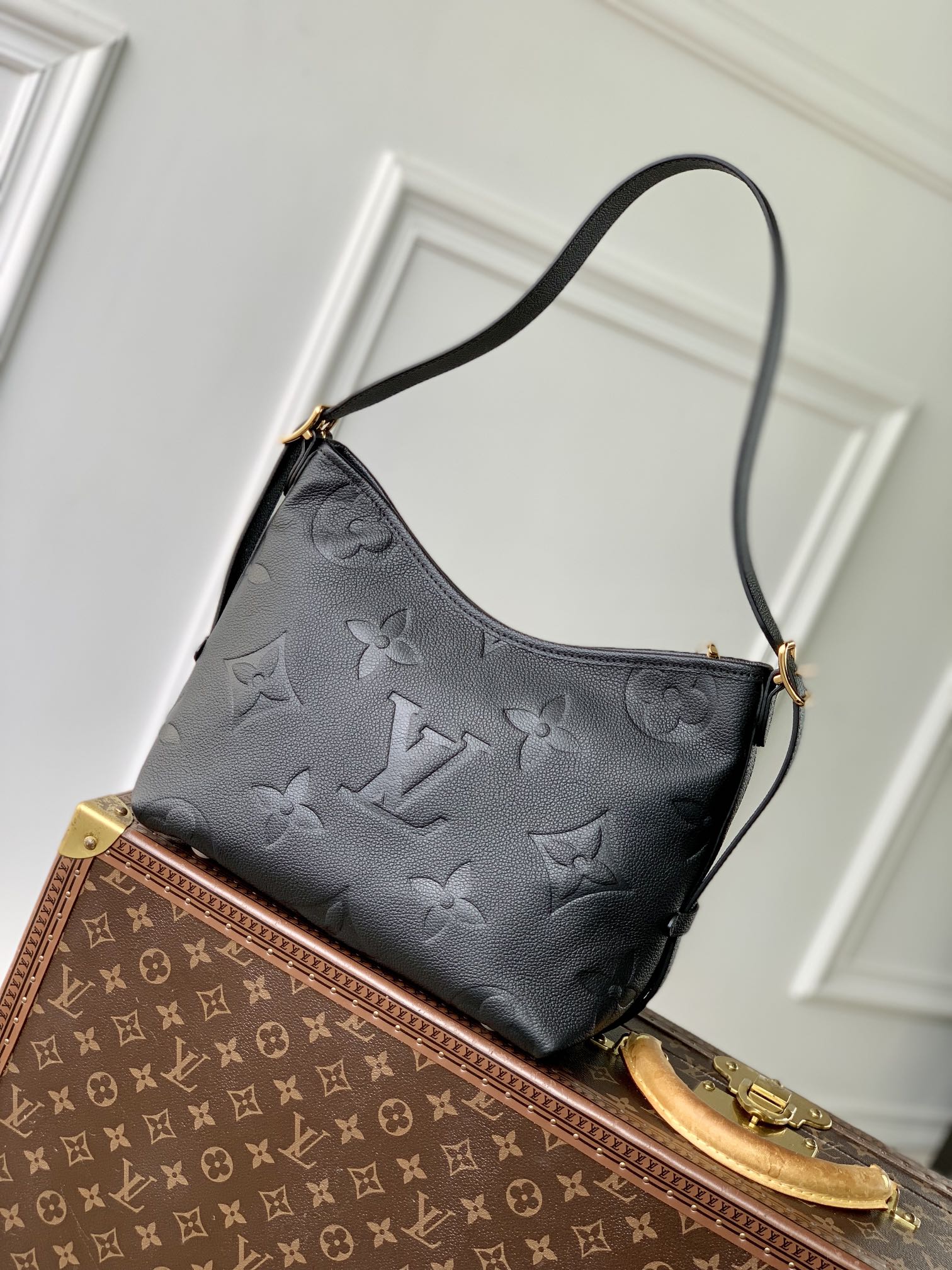 CarryAll PM M46288 main 1 image 4